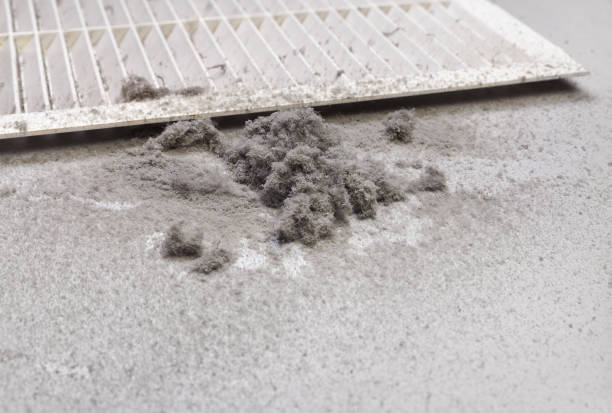 Best Ventilation Cleaning Services  in Kent Acres, DE